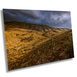 Rain Clouds over Saguaro National Park Arizona Desert Landscape Color Photography Print on Metal Acrylic Canvas Print Wall Home Decor