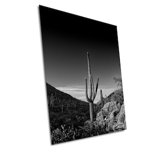 Lone Saguaro Cactus in Saguaro National Park Arizona Black and White Photography Print on Metal Acrylic Canvas Print Wall Home Decor