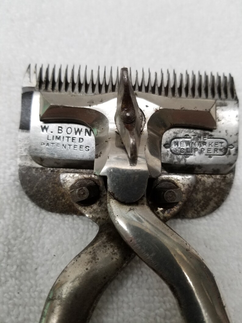 Antique HORSE CLIPPERS Circ. 1880 Etsy