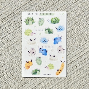 Puede incluir: Una hoja de pegatinas con ilustraciones coloridas de babosas marinas. Las pegatinas están etiquetadas como "Meet the Sea Slugs", "Leaf Snips", "Sea Bunnies" y "Hollowman".