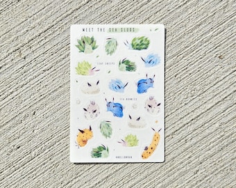 Puede incluir: Una hoja de pegatinas con ilustraciones coloridas de babosas marinas. Las pegatinas están etiquetadas como "Meet the Sea Slugs", "Leaf Snips", "Sea Bunnies" y "Hollowman".