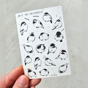 Chickadees Sticker Sheet  || Matte Sticker || Tiny Black Capped Chickadee Stickers ||