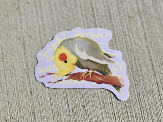 Cockatiel Sticker || Waterproof Matte Sticker || Silly Begging Tiel Sticker ||