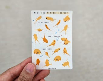 Puede incluir: Una hoja de papel blanca con una hoja de pegatinas de 16 sapos calabaza naranja y amarillos. La hoja de pegatinas tiene el texto "Meet the Pumpkin Toadlet" en la parte superior y "Highly Toxic" en el medio. Los sapos calabaza están en varias poses, incluyendo saltar, estar de pie y sentarse.