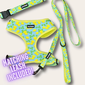 Pastel Dog Harness and Collar, Waterproof Harness, Cat Collars and Harnesses