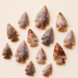 1'' Fancy Jasper Arrowhead Point ~ Indian Agate Spearhead Points Sieraden maken en draadwikkelen, mooi display stuk