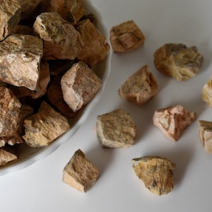 Picture Jasper Rough Natural Stones 1 inch Picture Jasper Raw Stones Natural Crystals