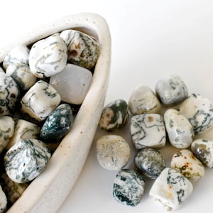 Tree Agate Tumbled Stones, Healing Crystals Tumbled Stones in pack sizes of 1,2,5, 100 grams and 200 grams