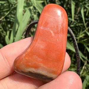 Petrified Wood Pendant for Grounding