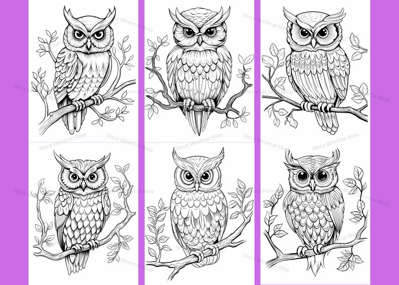 Easy Owls, Coloring Pages for Adults & Kids / 26 Printable Pages