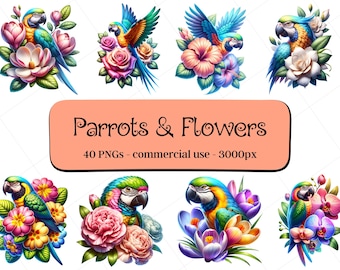 40 Parrots & Flowers Clipart / Instant Download / Commercial Use