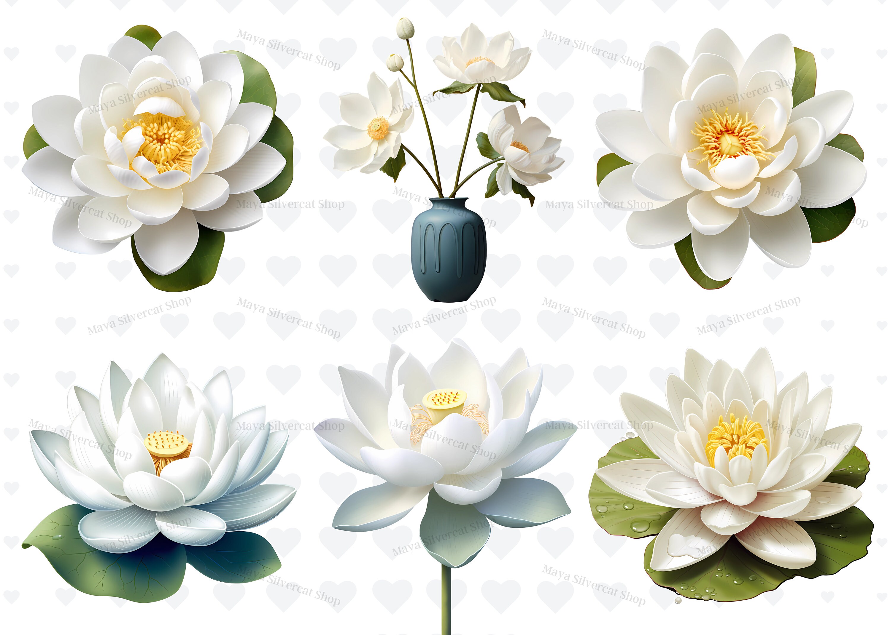 26 White Lotus Flowers Clipart / Instant Download / Comercial Use - Etsy