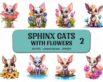20 Cartoon Sphinx Cats with Flowers Clipart Set2 / Instant Download / Commercial Use