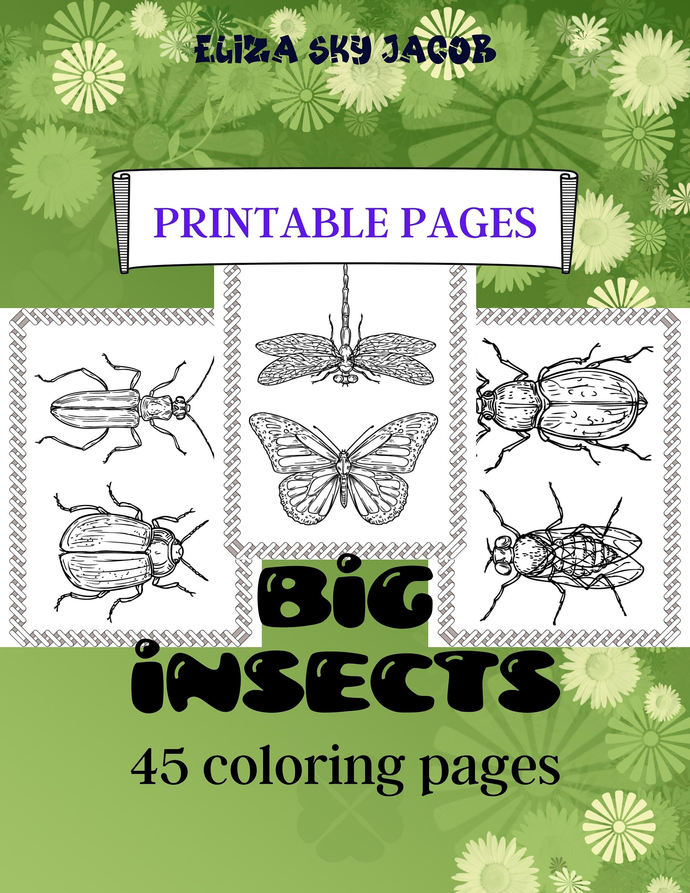 45 big insects coloring pages bugs coloring book printable etsy