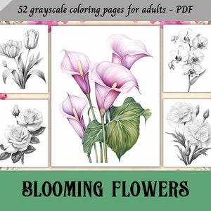 Könnte beinhalten: Satz von fünf Schwarzweißillustrationen verschiedener Blumenarten, darunter Tulpen, Calla-Lilien, Orchideen, Rosen und Nelken. Der Titel "BLOOMING FLOWERS" wird am unteren Rand des Bildes angezeigt.