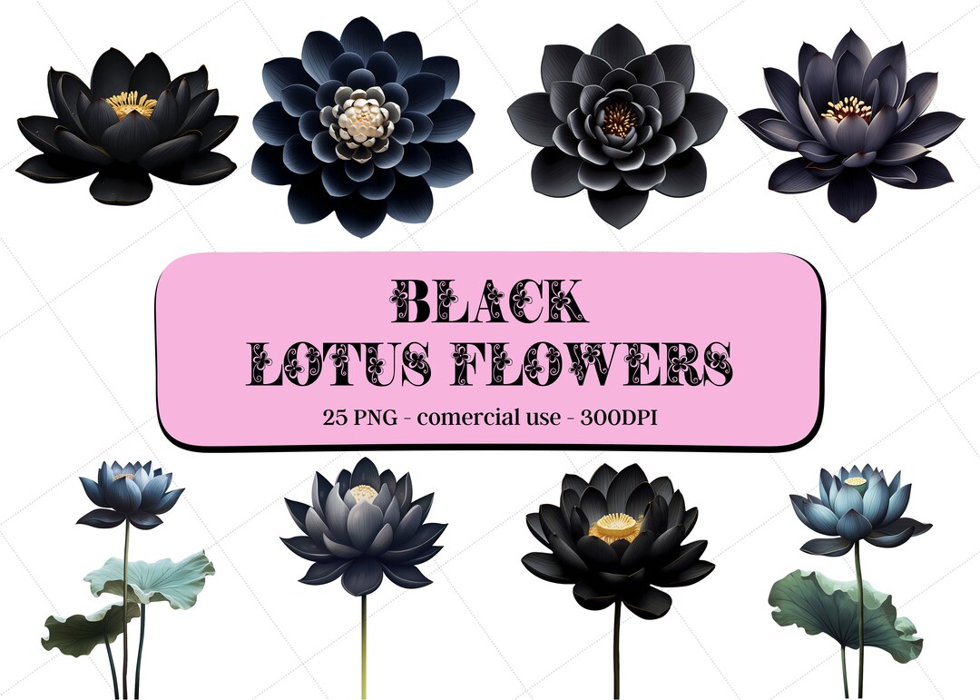 25 Black Lotus Flowers Clipart / Instant Download / Comercial Etsy