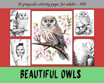 Beautiful Owls, Grayscale Coloring Pages for Adults / 25 Printable Pages / Instant Download / Personal Use
