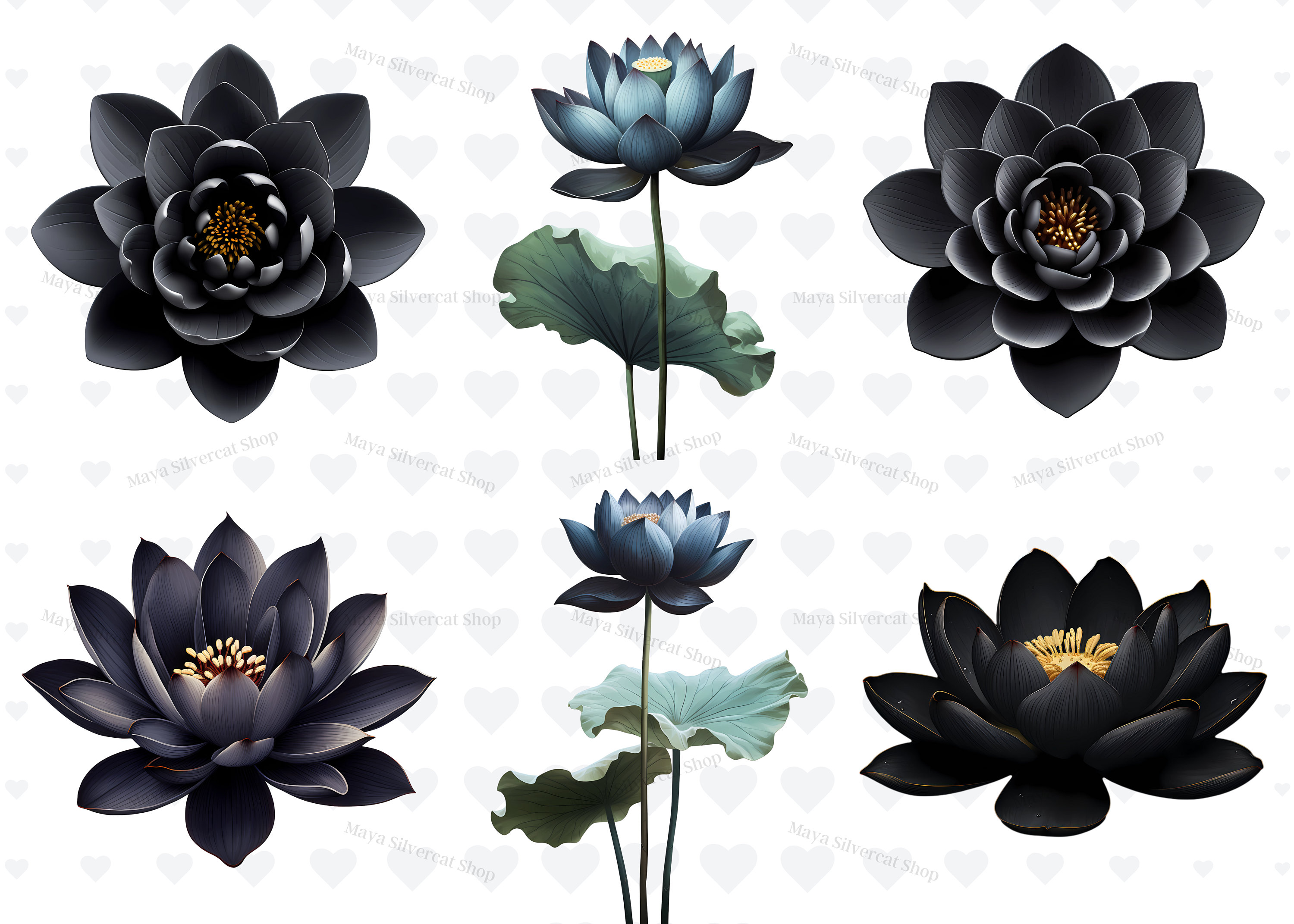 25 Black Lotus Flowers Clipart, Botanical Lotus Flower Clipart