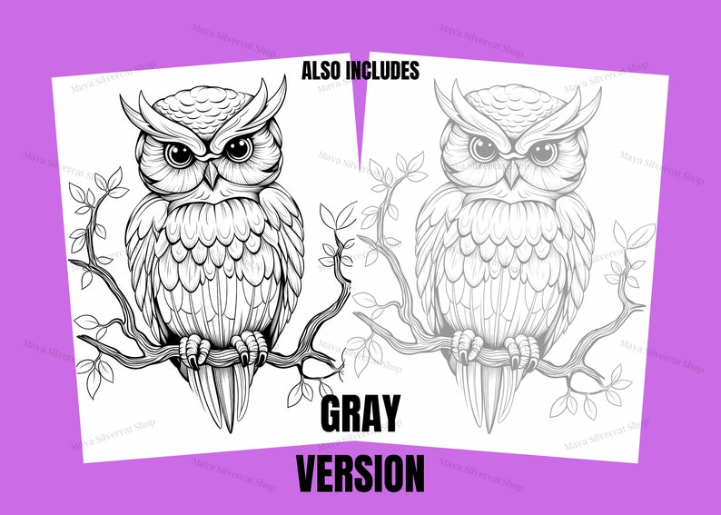 Easy Owls, Coloring Pages for Adults & Kids / 26 Printable Pages