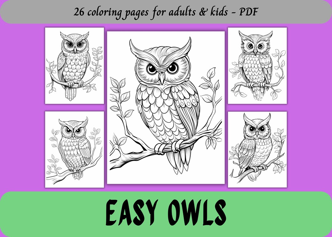 Gemakkelijke uilen, kleurplaten voor volwassenen en kinderen | 26  afdrukbare pagina's | Direct downloaden | Persoonlijk gebruik - Etsy België, image size:1080x771
