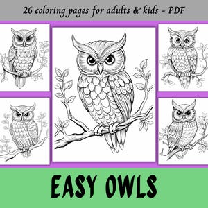 Easy Owls, Coloring Pages for Adults & Kids / 26 Printable Pages / Instant Download / Personal Use