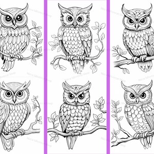 Easy Owls, Coloring Pages for Adults & Kids / 26 Printable Pages ...