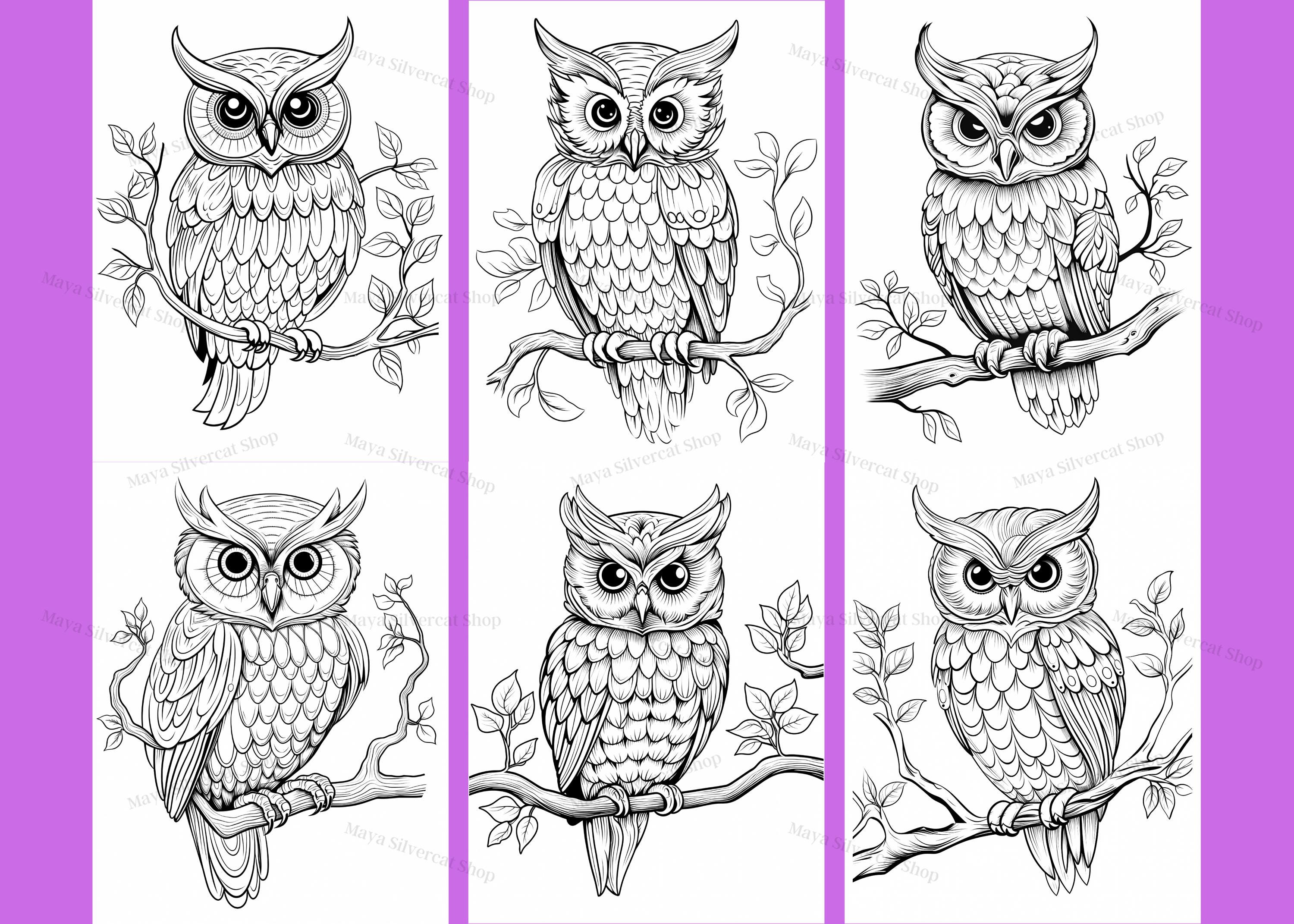 Gemakkelijke uilen, kleurplaten voor volwassenen en kinderen | 26  afdrukbare pagina's | Direct downloaden | Persoonlijk gebruik - Etsy België, image size:3000x2142