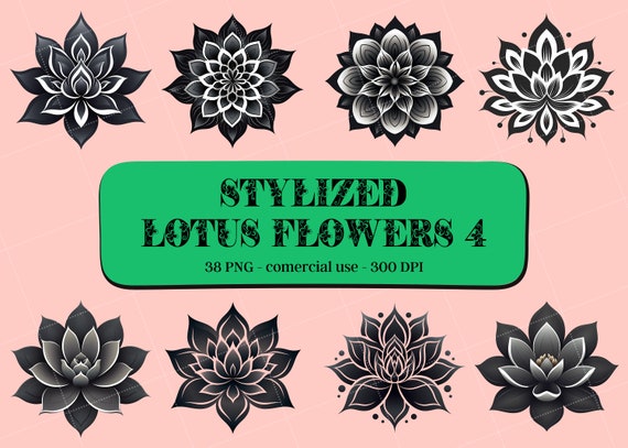 LOTUS DESIGNS PFD 訳あり Amazon.co.jp: USA製 日本未発売 限定 パタゴニア LOTUS DESIGNS