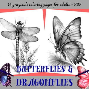 May include: A coloring book cover featuring a grayscale illustration of a dragonfly and a butterfly. The title of the book is "Butterflies & Dragonflies".