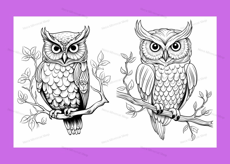 Easy Owls, Coloring Pages for Adults & Kids / 26 Printable Pages