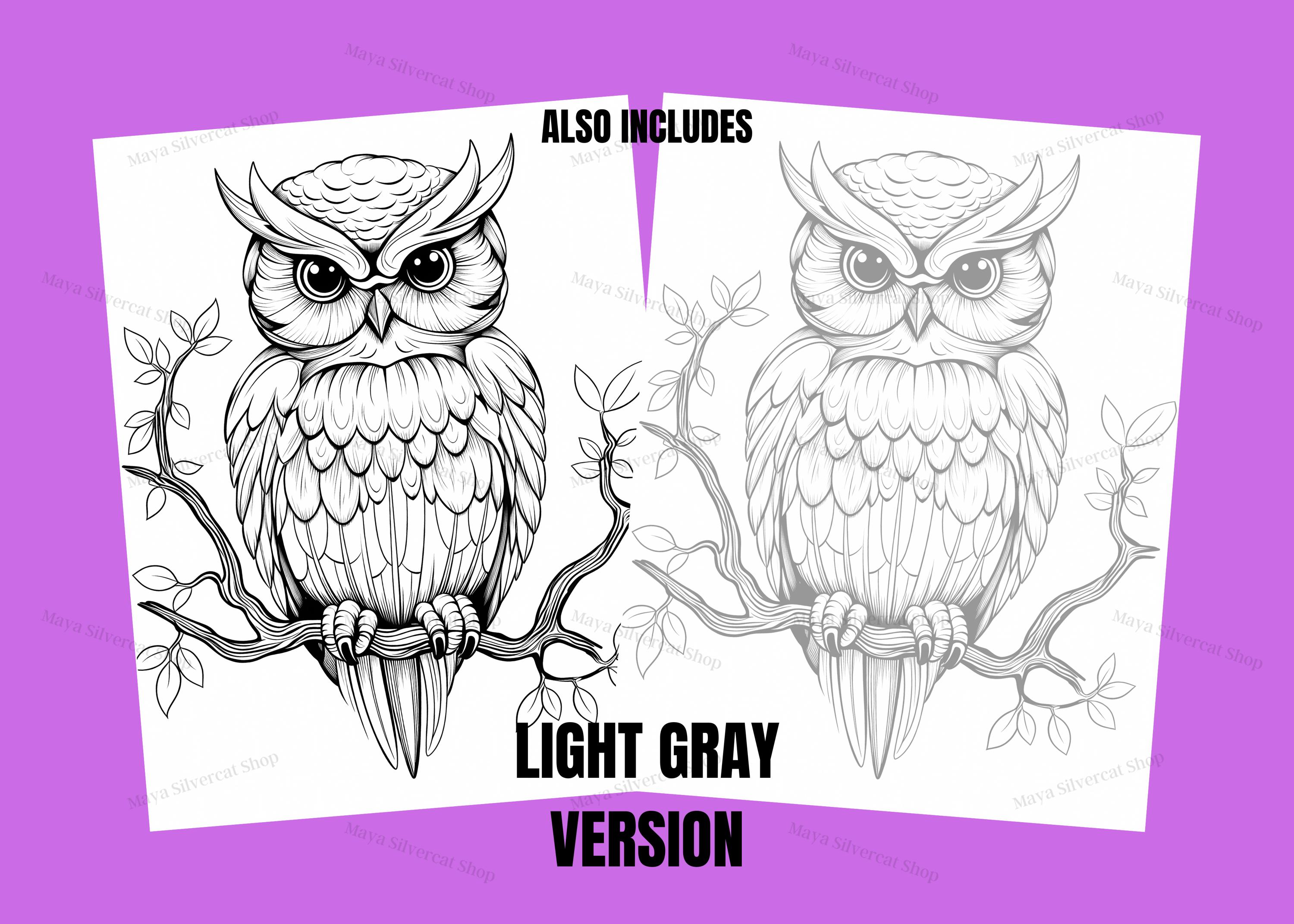 Gemakkelijke uilen, kleurplaten voor volwassenen en kinderen | 26  afdrukbare pagina's | Direct downloaden | Persoonlijk gebruik - Etsy België, image size:3000x2142