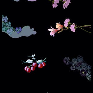 Flower Frames for Webtoons