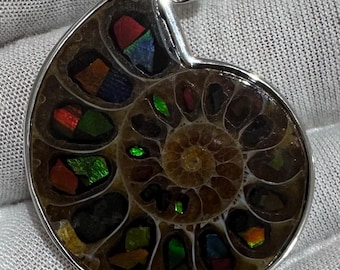 Ammolite/Ammonite Pendent