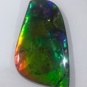 Ammolite Natural