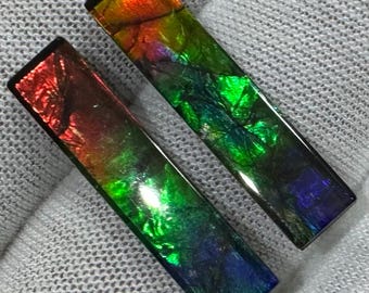 Ammolite  Cabochon pair