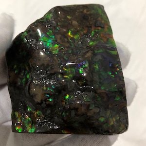 Ammolite Natural