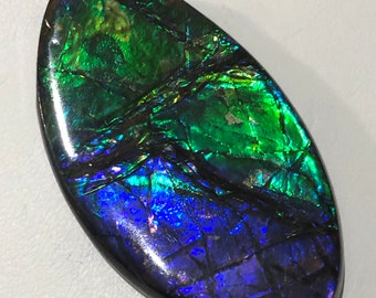 Ammolite Natural