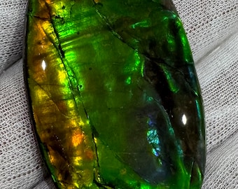 Ammolite Natural Oval Shape