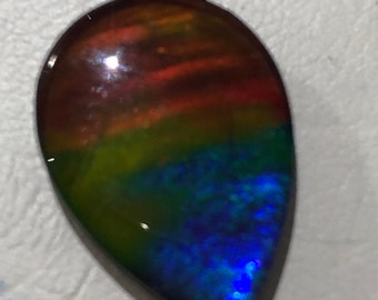 Ammolite Pear Shape Cabochon