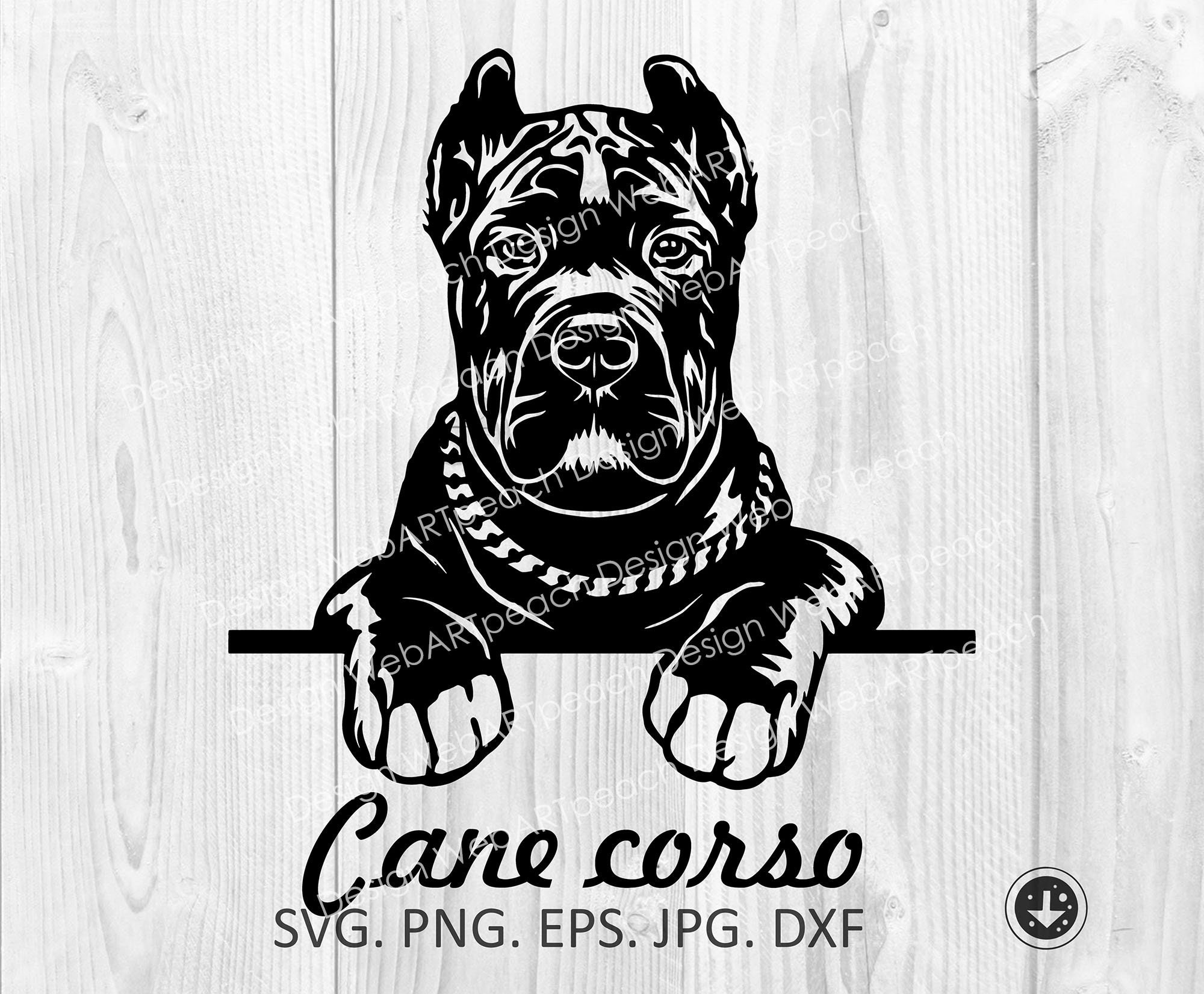 Reverse Grey Brindle Cane Corso Ppgbbe intranet biologia ufrj br reverse-grey-brindle-cane-corso-ppgbbe-intranet-biologia-ufrj-br