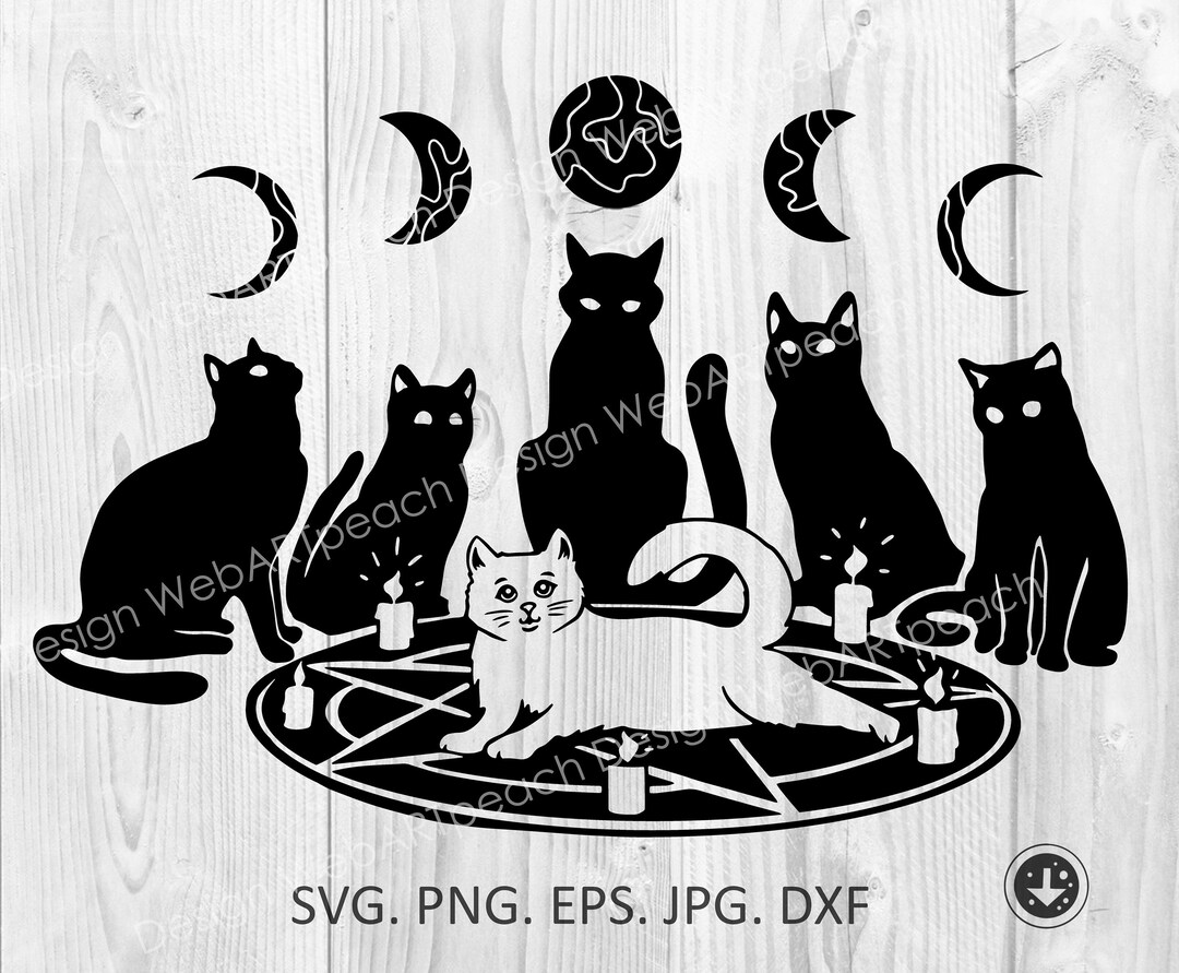 Design PNG E SVG De Gato Animal Simples Para Camisetas