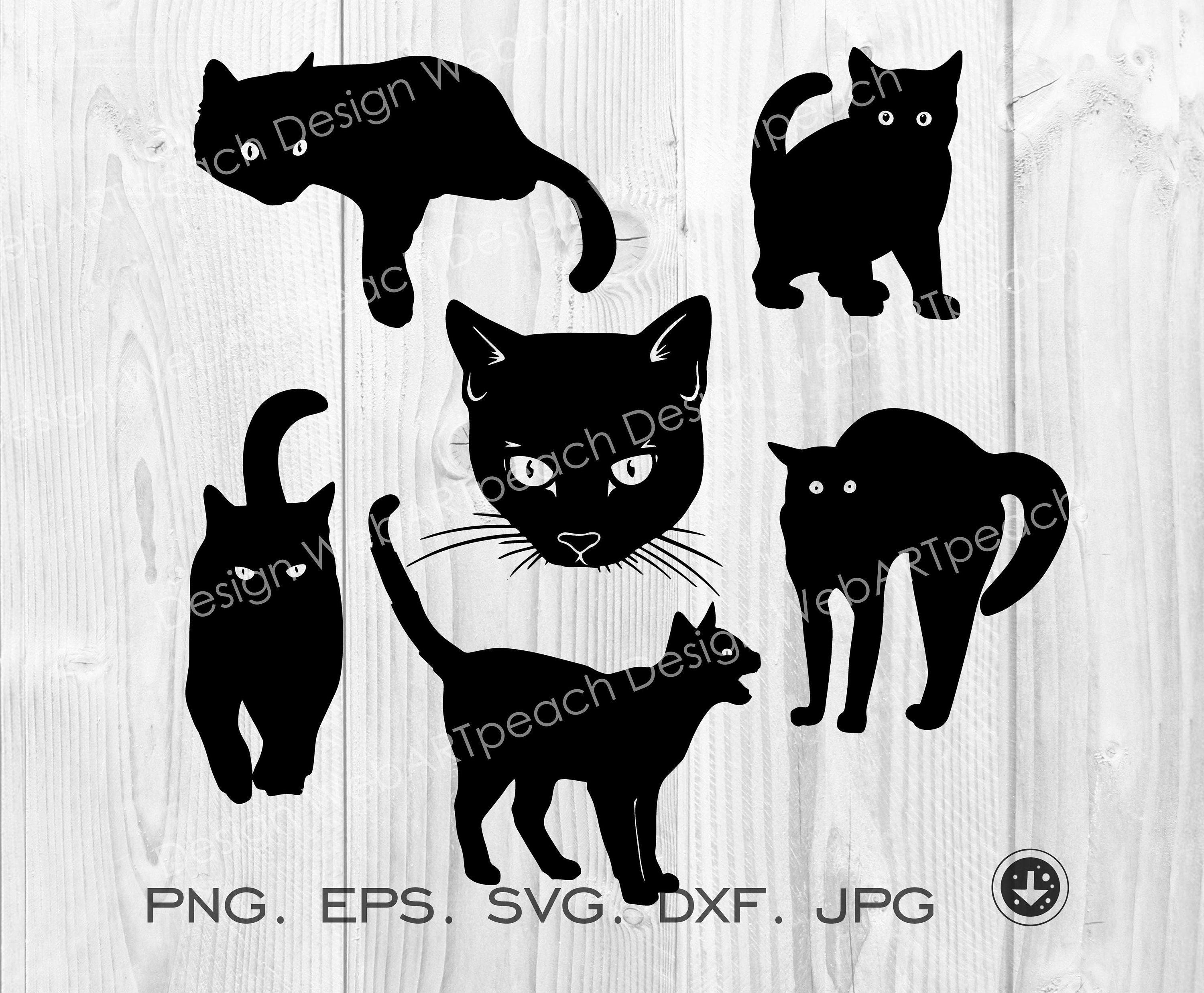 ANGRY CAT SVG Cat Clipart Cute Angry Cat Svg Cut Files for 