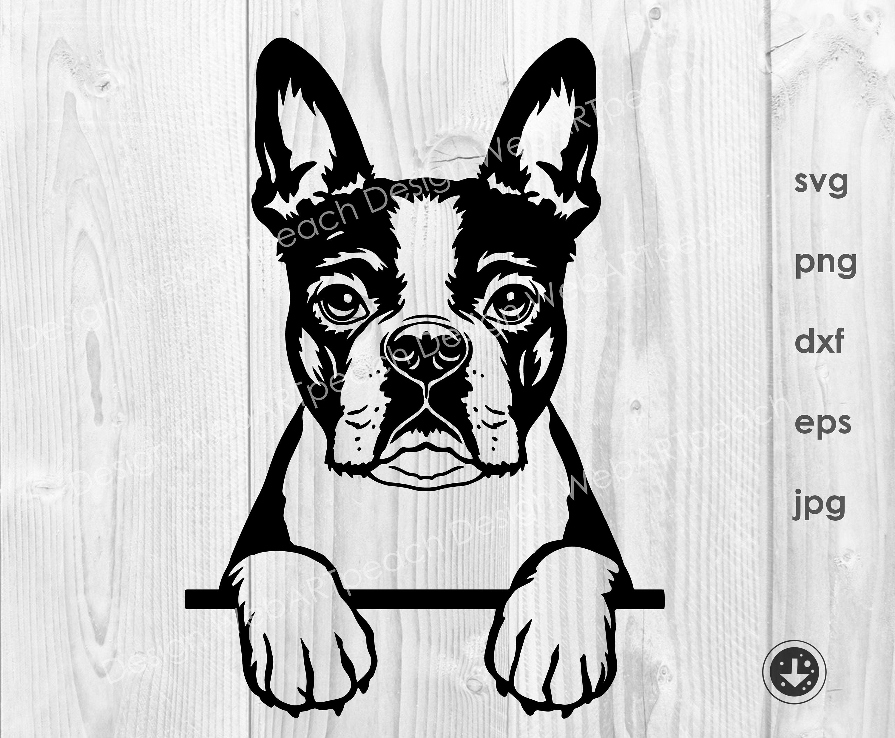 Boston Terrier Svg File Boston Terrier Peeking Paws Clipart - Etsy UK