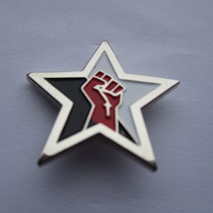 May include: A silver star-shaped pin with a black and white background and a red fist in the centre.
