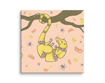 Pomelo Possum Canvas Print