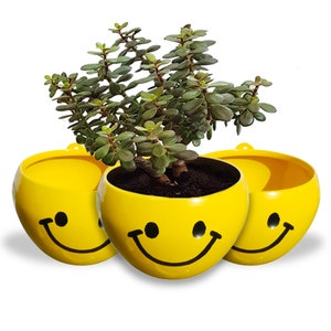 May include: Three yellow smiley face hanging planters with a small green plant in the centre planter.