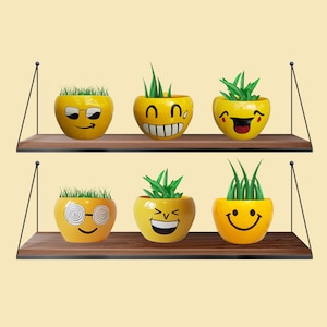 Succulent Plant Pot Emoji with Drainage Hole Anti-Rust Iron Metal Stand Plant Holder for Home Indoor and Outdoor Decor Gift