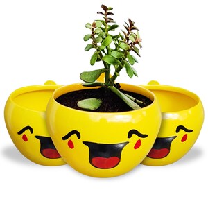 Succulent Plant Pot Emoji with Drainage Hole Anti-Rust Iron Metal Stand Plant Holder for Home Indoor and Outdoor Decor