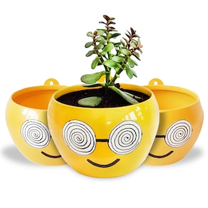 Succulent Plant Pot Emoji with Drainage Hole Anti-Rust Iron Metal Stand Plant Holder for Home Indoor and Outdoor Decor
