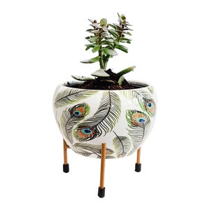 May include: A white ceramic planter with a peacock feather design, holding a green succulent plant. The planter sits on a wooden stand with black feet. The pot is approximately 20 cm in diameter.